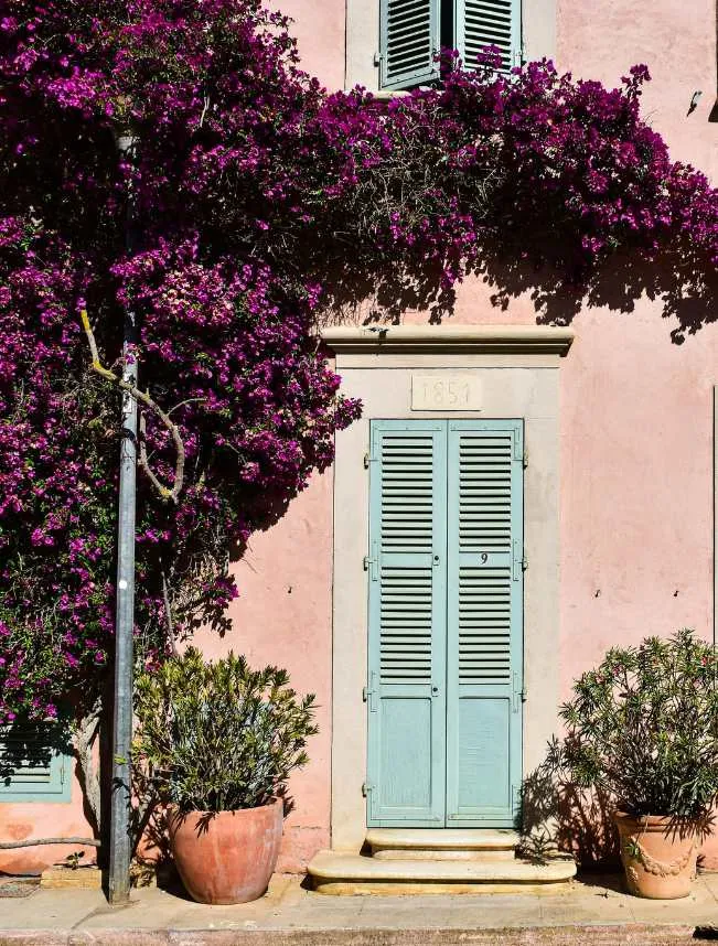 Bormes les Mimosas