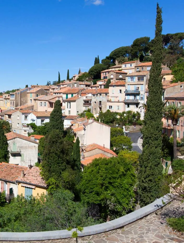 Bormes les Mimosas