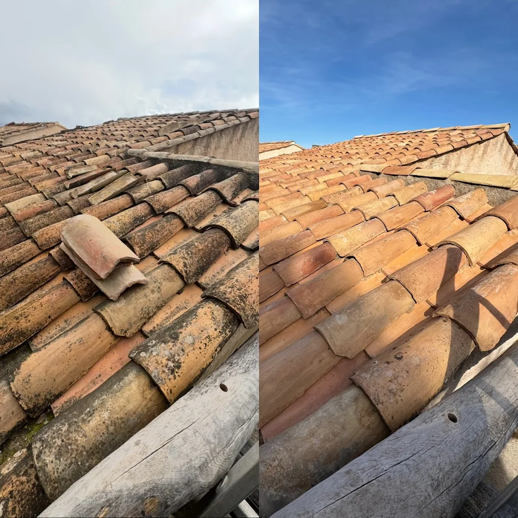 démoussage de toit au lavandou