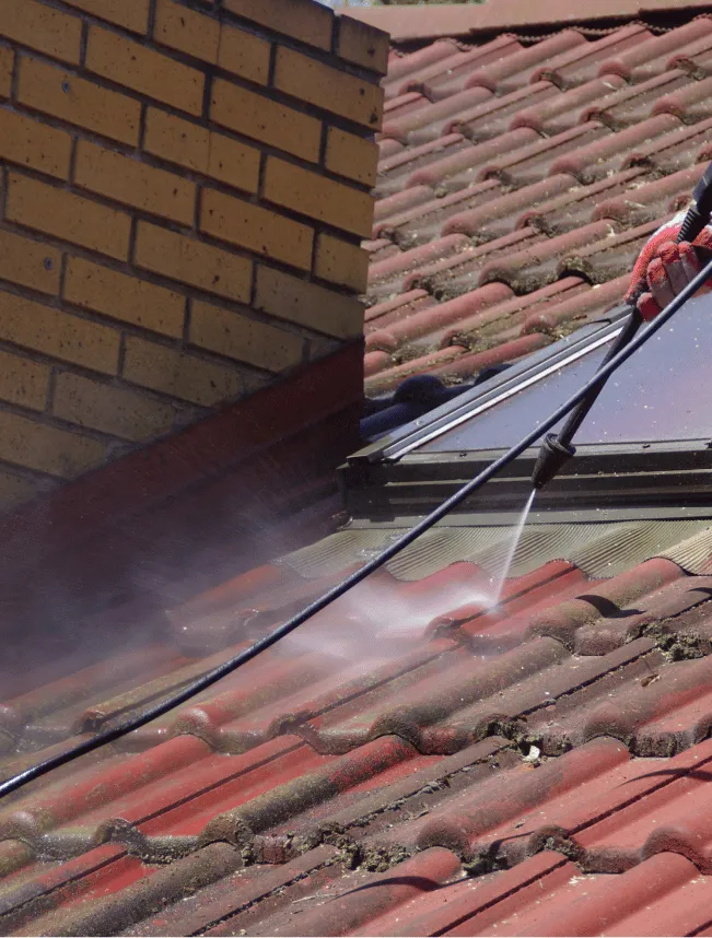 Entretien de toiture démoussage