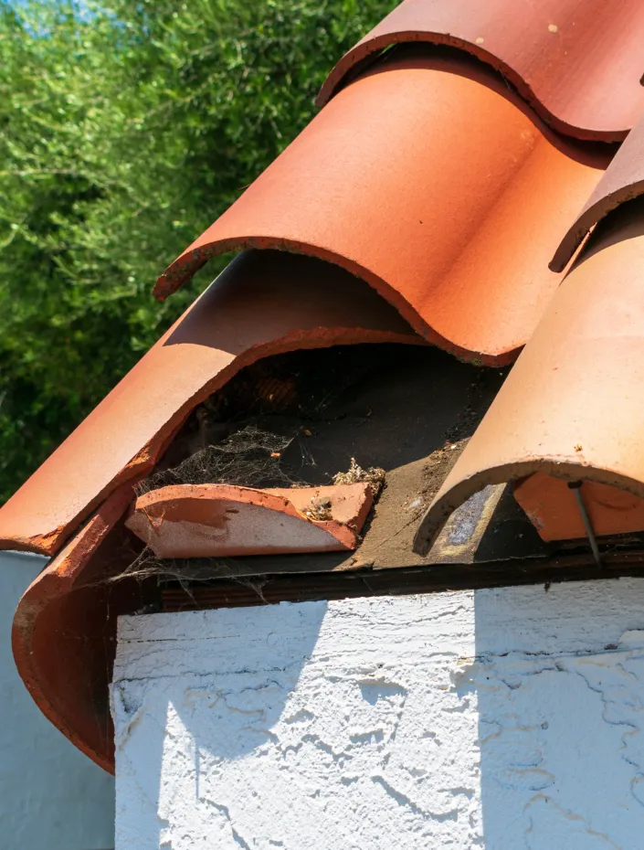 Urgence fuite de toiture au Lavandou
